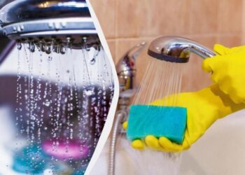 Лійка душу буде як нова: два дешевих засоби очистять її до скрипу