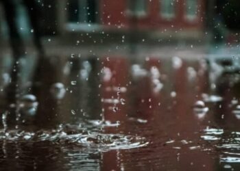 На початку тижня знов дощитиме