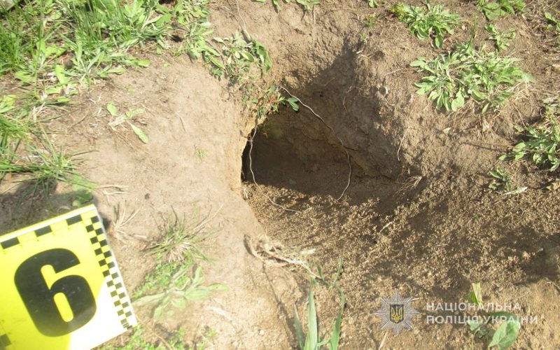 На Сумщині екоінспектори врятували червонокнижних бабаків від рук браконьєрів