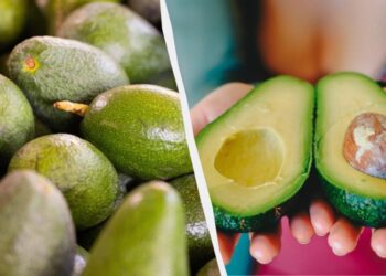 Навіть найтвердіший авокадо дозріє за добу: куди його покласти