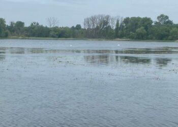 Шосткинські епідеміологи регулярно проводять дослідження якості води в озері Галенківське 