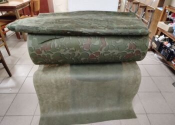 Шосткинський колектив сучасного танцю “Шарм” передав кошти на потреби ЗСУ