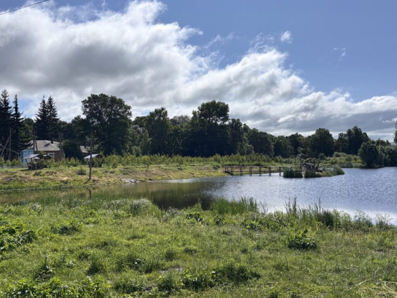 У селі Бочечки облаштували місце для корисного дозвілля жителів та гостей громади + Фото