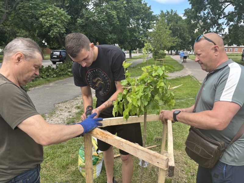 У Шостці на Алеї пам’яті з’явилися нові деревця + Фото