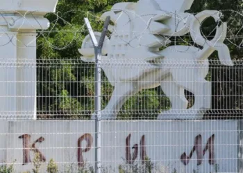 У створеному окупантами “Кримському федеральному університеті” скоротять половину ставок, – активіст