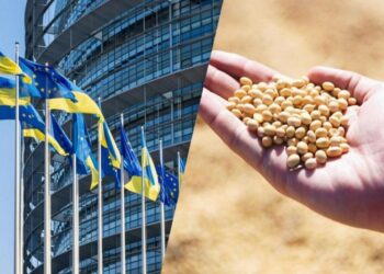 Україна та Євросоюз домовилися про нові умови торгівлі агропродукцією