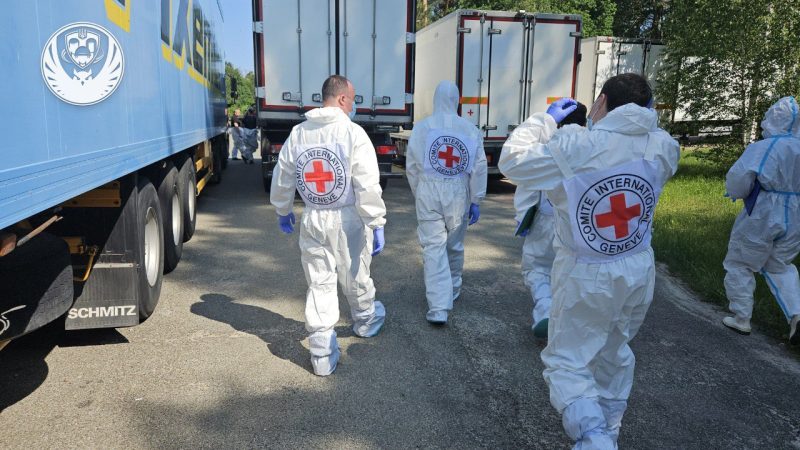 В Україну повернули ще 1245 тіл загиблих: репатріаційна частина Стамбульських домовленостей завершена