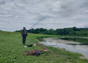 “З Росії текла якась нечисть”: мор риби у річці Сейм на Сумщині,-розповідають Суспільне Суми