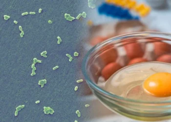 З початку року на Сумщині зареєстровано 43 випадки сальмонельозу