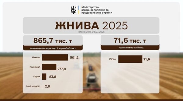 Аграрії наблизилися до збору першого мільйона тонн зерна Аграрії наблизилися до збору першого мільйона тонн зерна