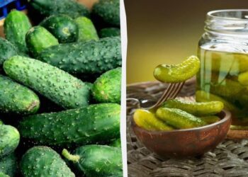Чи вдасться українцям законсервувати огірки цього року: прогноз експерта