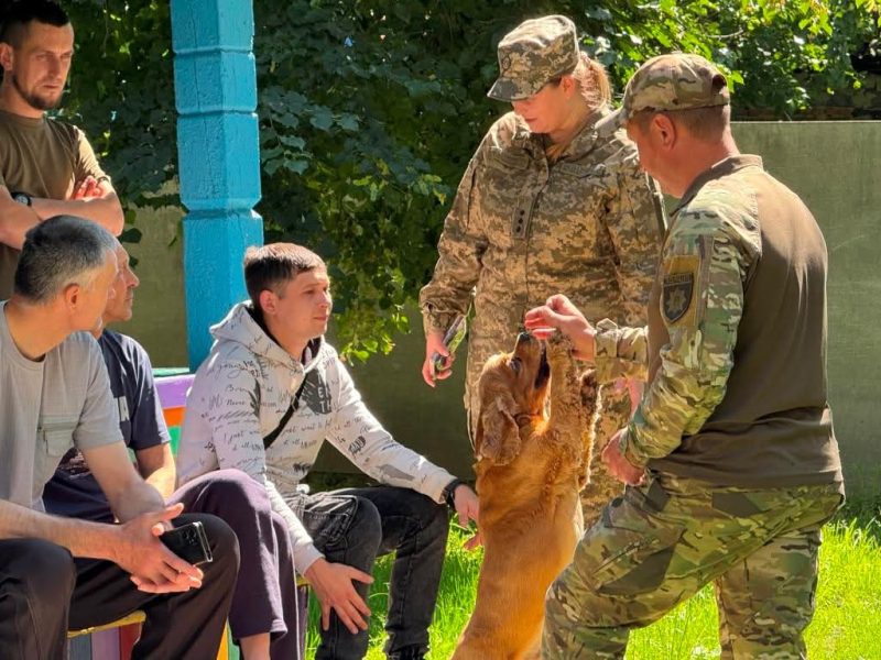 Чотирилапі терапевти: на Сумщині до психологічної реабілітації військовослужбовців залучають спеціально навчених собак