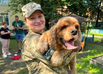 Чотирилапі терапевти: на Сумщині до психологічної реабілітації військовослужбовців залучають спеціально навчених собак