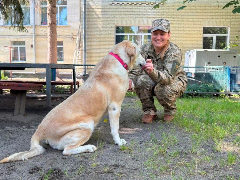 Чотирилапі терапевти: на Сумщині до психологічної реабілітації військовослужбовців залучають спеціально навчених собак
