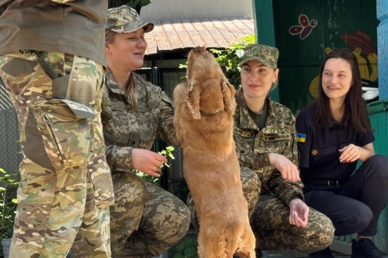 Чотирилапі терапевти: прикордонники Сумщини долучилися до каністерапії