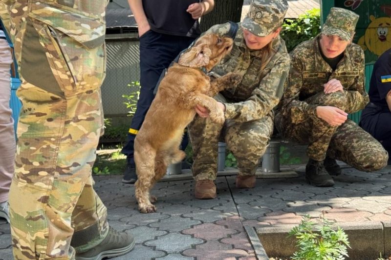 Чотирилапі терапевти: прикордонники Сумщини долучилися до каністерапії