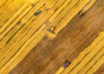 Аграрії наблизилися до збору першого мільйона тонн зерна