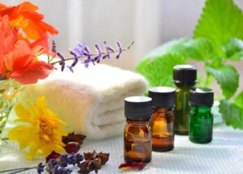 Комахи зникнуть без зусиль: яку ефірну олію взяти від мух, мурах і мошок