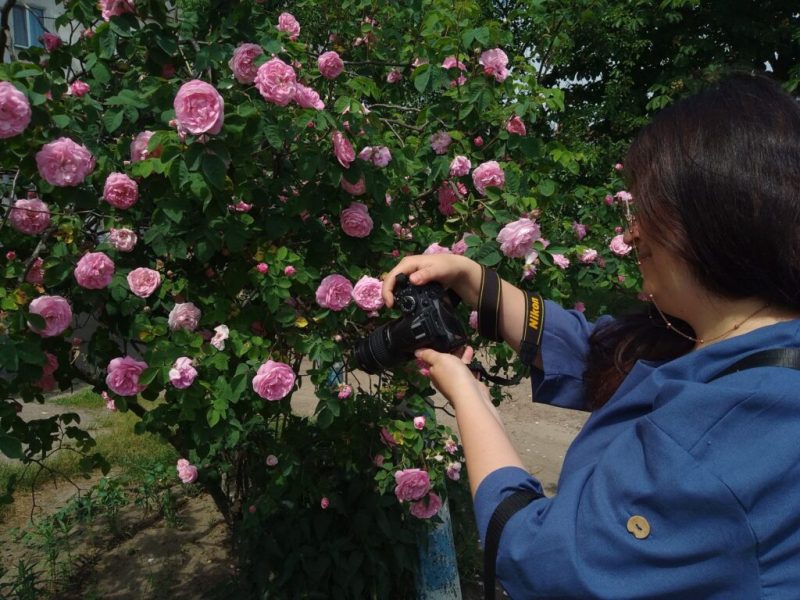 Музейний психо-соціальний хаб “Місце сили” у Шостці запрошує на безкоштовне заняття “Фототерапія”