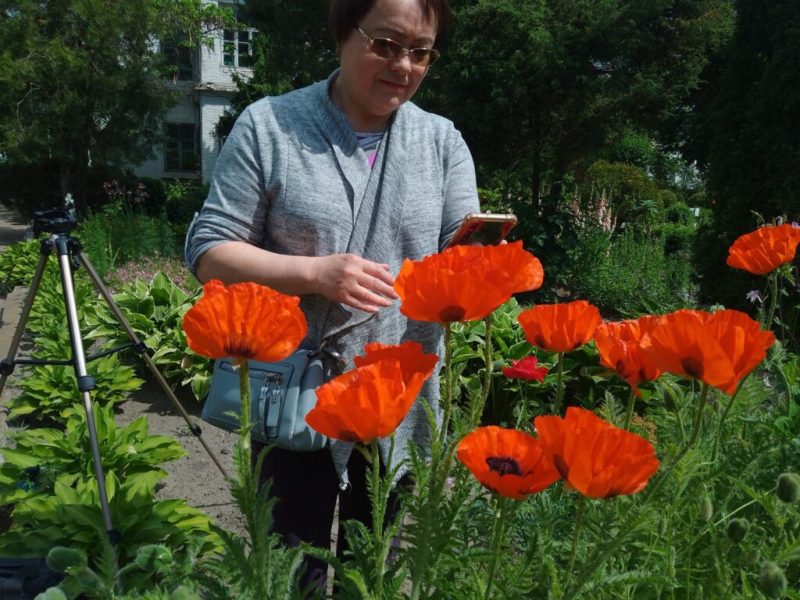 Музейний психо-соціальний хаб “Місце сили” у Шостці запрошує на безкоштовне заняття “Фототерапія”