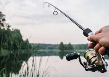 На водоймах області знято всі обмеження щодо вилову риби та раків