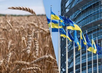 Після скасування “торгового безвізу” з Україною ЄС збільшив квоти на низку сільгосптоварів, – Reuters