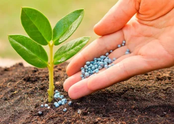 купити засоби захисту рослин