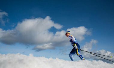 Срібний призер ОІ потрапив до лікарні після тренування. Його вкусила собака