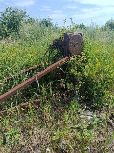 Територія однієї з залізничних станцій у Конотопському районі заростає бур’янами: місцева влада б’є на сполох