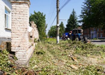 В Охтирці видаляють аварійні та небезпечні дерева