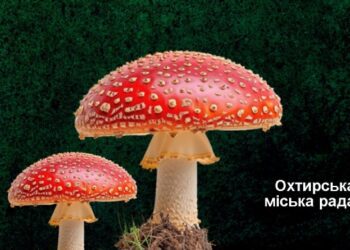 В СУМСЬКІЙ ОБЛАСТІ РЕЄСТРУЮТЬСЯ ВИПАДКИ ОТРУЄННЯ ГРИБАМИ