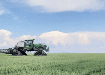 Ваш старт у міжнародній кар’єрі: робота в МХП