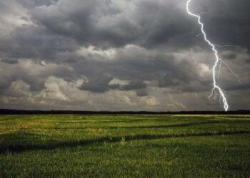 Завтра на Сумщині прогнозують грозу та шквальний вітер