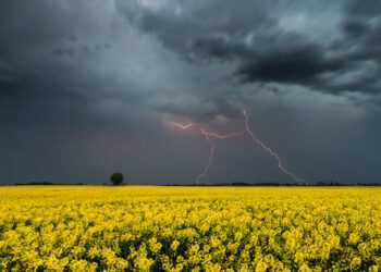 Завтра в області знову гримітиме