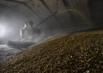 Росія втрачає позиції найбільшого агроекспортера – розвідка