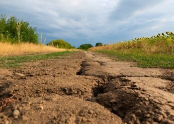 Континенти Землі висихають із безпрецедентною швидкістю – дослідження