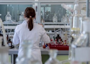 Українські науковці вперше отримали сперматозоїди зі стовбурових клітин