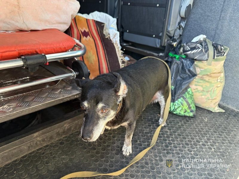 &laquo;Білі янголи&raquo; евакуювали мешканок прикордоння Сумщини разом з їхніми тваринами