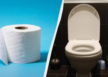 Чому не можна протирати сидіння унітазу туалетним папером: відповідь здивує