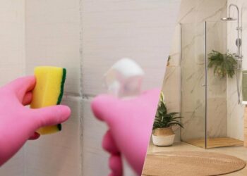 Чорна цвіль зникне назавжди: чим обробити стіни від грибка