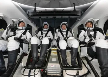Чотири астронавти місії NASA Crew-10 повернулись на Землю після 5-місячного перебування на МКС