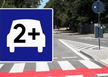 Новий дорожній знак з авто на синьому фоні та символом “2+”: що він означає