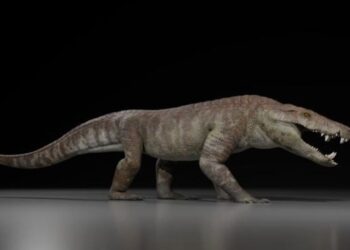 У Патагонії знайшли скам’янілі рештки крокодилоподібного хижака