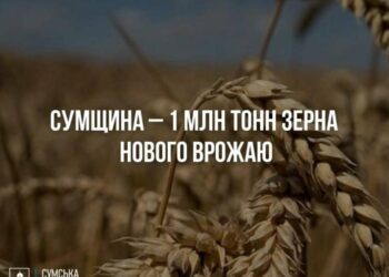 Сумщина зібрала понад мільйон тонн зерна нового врожаю, – ОВА
