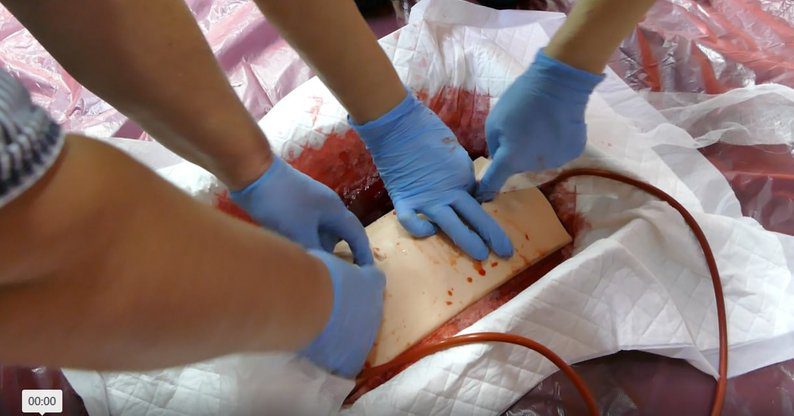 Медики з прикордоння Шосткинщини проходять безкоштовні тренінги з першої допомоги