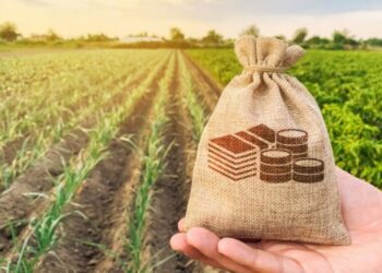 На Конотопщині чоловік сплатив аліментну заборгованість землею