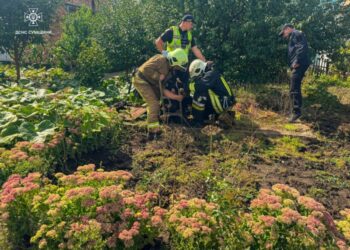 На Сумщині рятувальники допомогли підняти жінку, яка впала у колодязь