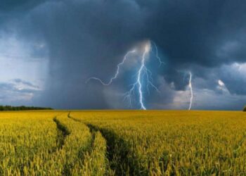 На Сумщині синоптики прогнозують сильний вітер та грозу