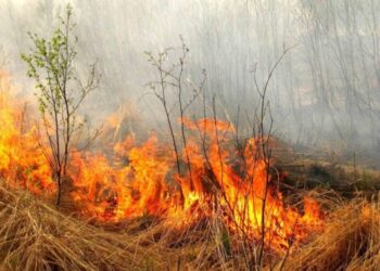 На Сумщині зберігається пожежна небезпека