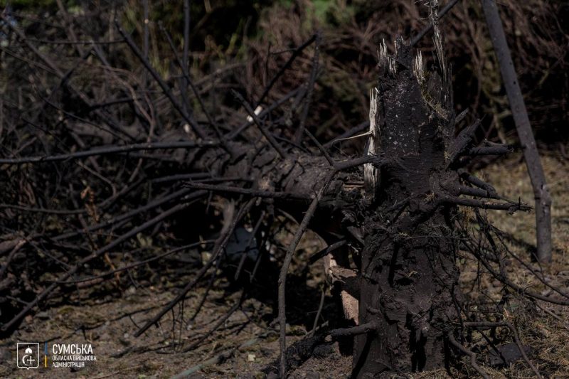 Наслідки масованого удару по Сумському державному університету, &ndash; ОВА